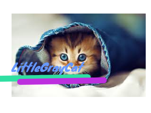 LittleGrayCat's Intro