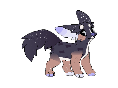 = new sona!! =