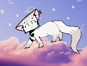 ~-Main OC-~