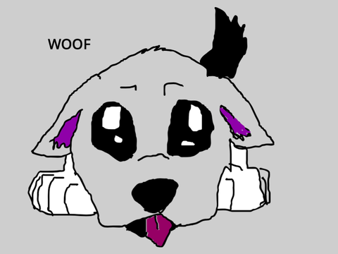 Dog animation 