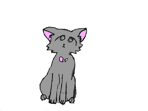 Graypaw 