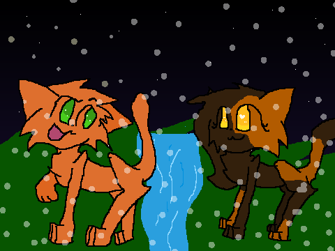  CC entry