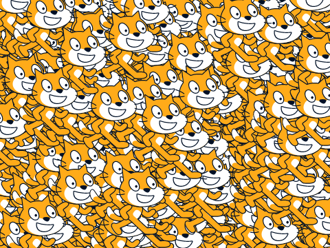 Cat illusion
