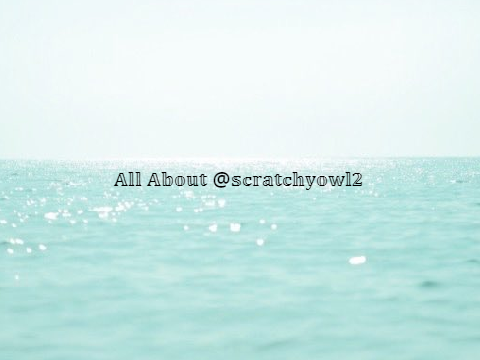 All About @scratchyowl2