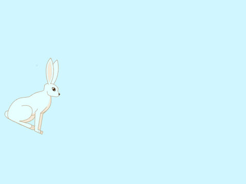 Wabbit