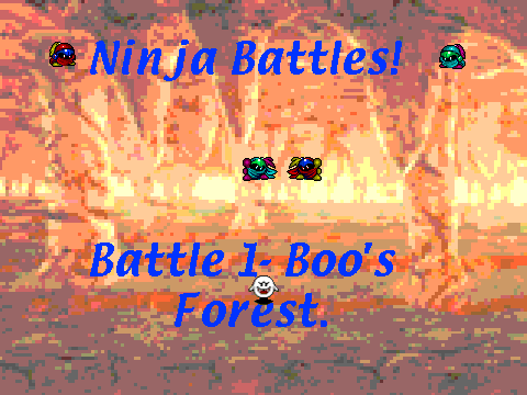 Ninja Battles 1
