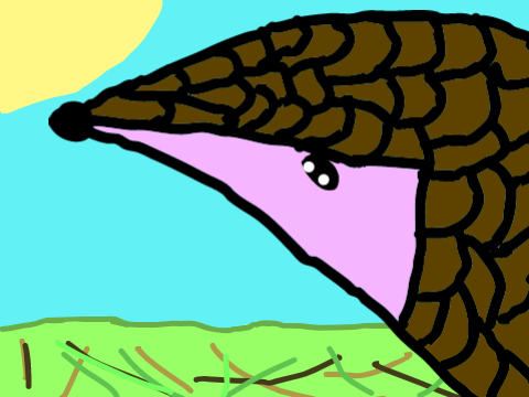 Chinese Pangolin 