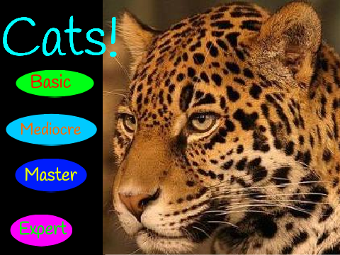 Cats!