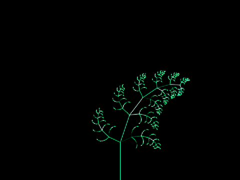 Fern Fractile