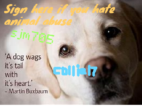 Sign if you hate animal abuse! remix