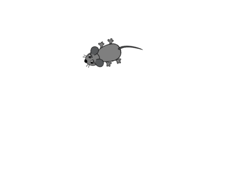 la souris mordante