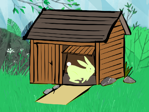 Adopt A Bunny!