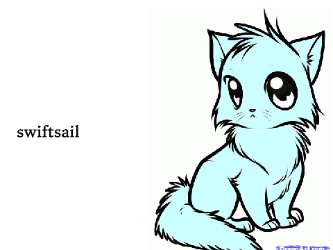 My Bio For SwiftSail