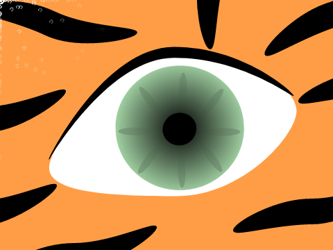 Eye of the Tiger