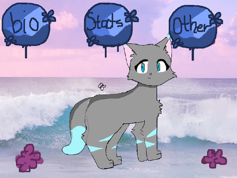 Drizzlepaw✵ Deltaclan ✵ Ref Sheet ✵ remix-5