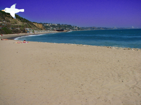 Beach Sounds