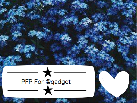 PFP For @qadget 