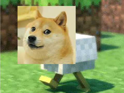Cihcken Doge Fart