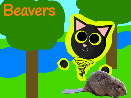 Beavers