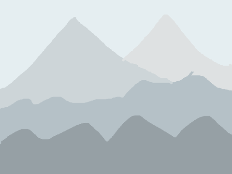 Fog