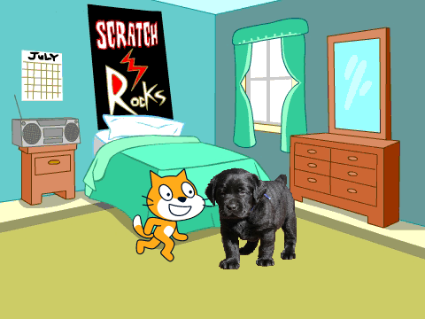 dog Vs cat!