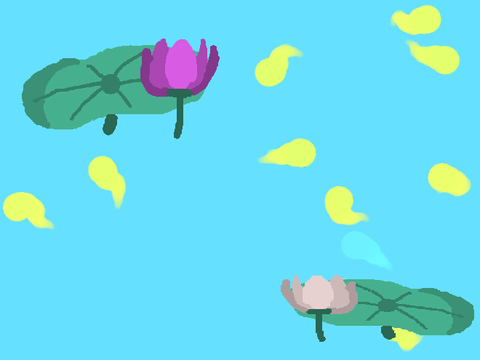 tadpoles 蝌蚪