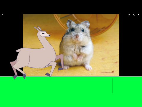 Hamster of Llama