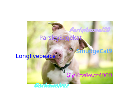 Sign if you care about pit bulls remix remix remix remix