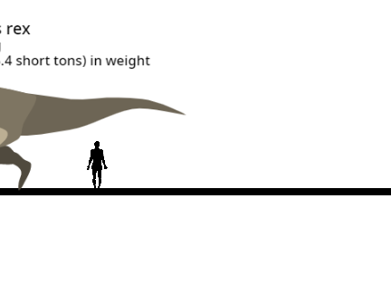 Tyrannosaurus - Trotting Animation