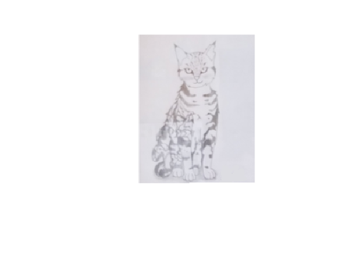 Drawing of my OC Ashstripe