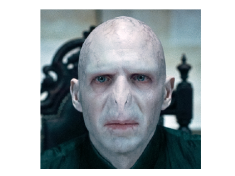 Talk to Lord Voldemort :0