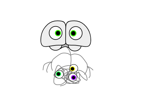 Thing's New look