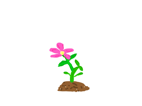 Growing seed animation