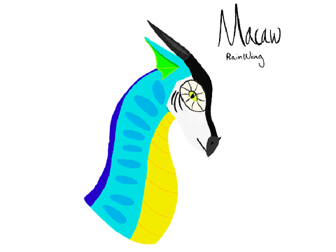 RainWing Macaw Design