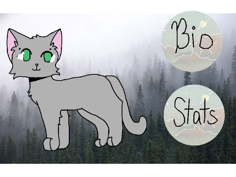 -Brackenclan Ref Sheet- remix