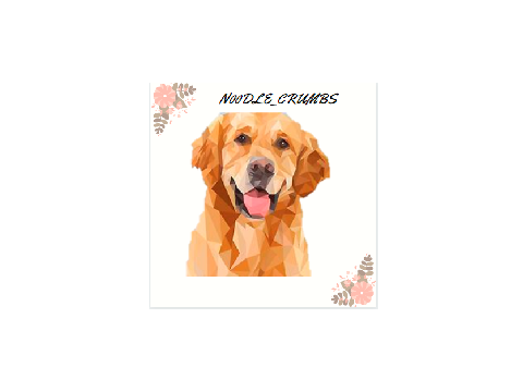Profile Picture - N00DLE_CRUMBS