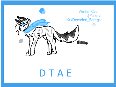 (won) D T A E, 3~ "Winter Cat"