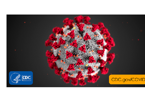 CORONAVIRUS'S REVENGE!