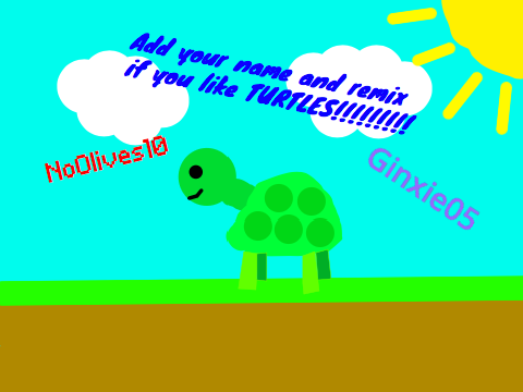Turtles! remix