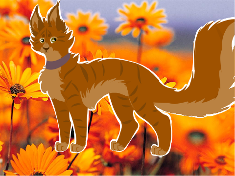 Gift for @Blue-Stream