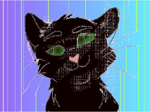 Disco Cat