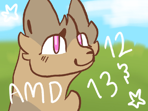 AMD || 12 & 13