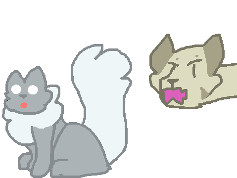 Warrior cats VINE MAP!!! Part 8 