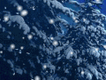 ❅