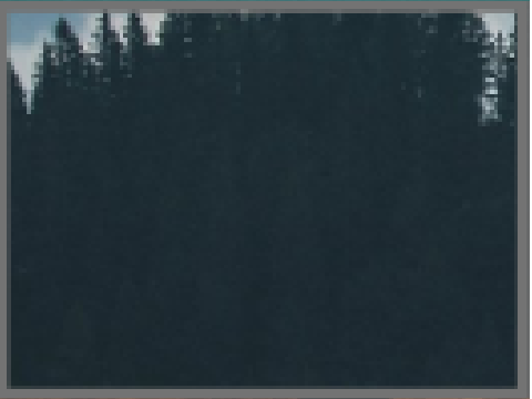 ⠀⠀⠀⠀⠀⠀《