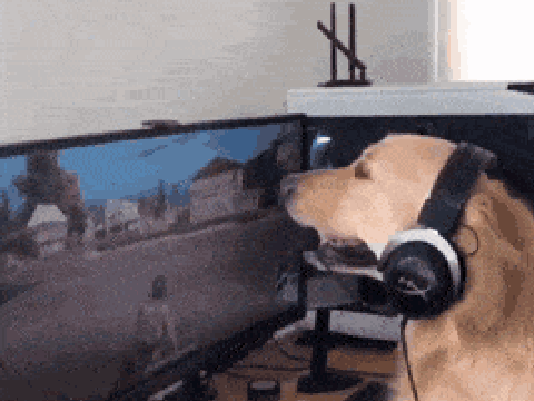 Gamer Doggy
