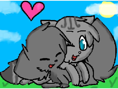 Grey x Silver CC