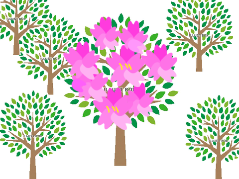 お花見　～sakura～
