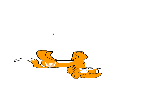stupid fail