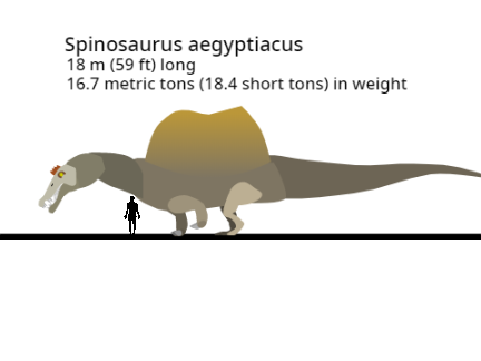 Spinosaurus (quadrupedal) - Walking Animation